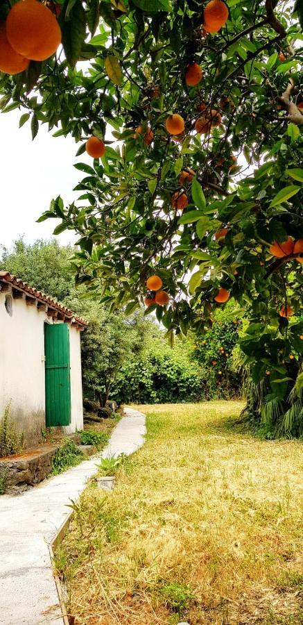 Villa L'Aranceto Acireale Exterior foto
