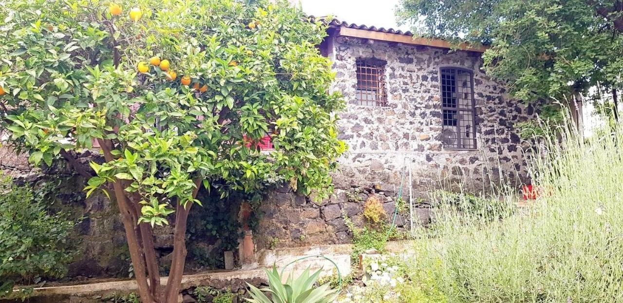 Villa L'Aranceto Acireale Exterior foto